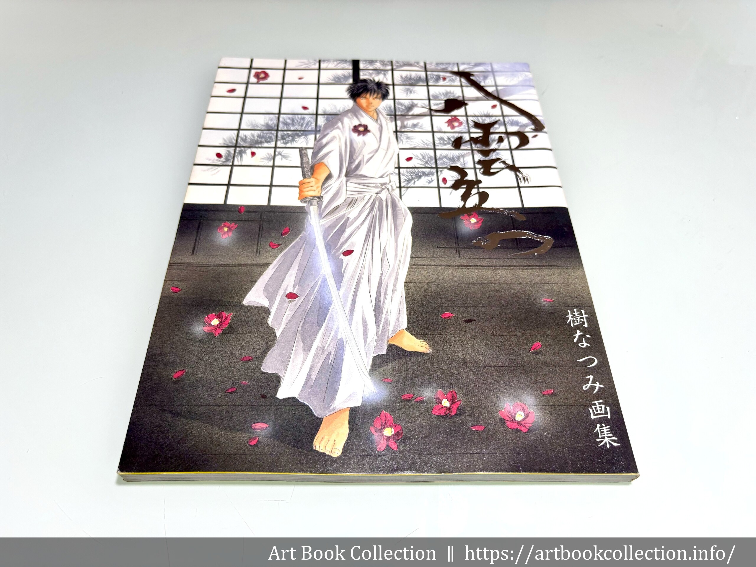 開箱．畫集】樹夏實《樹なつみ畫集：八雲立つ》 - Art Book Collection