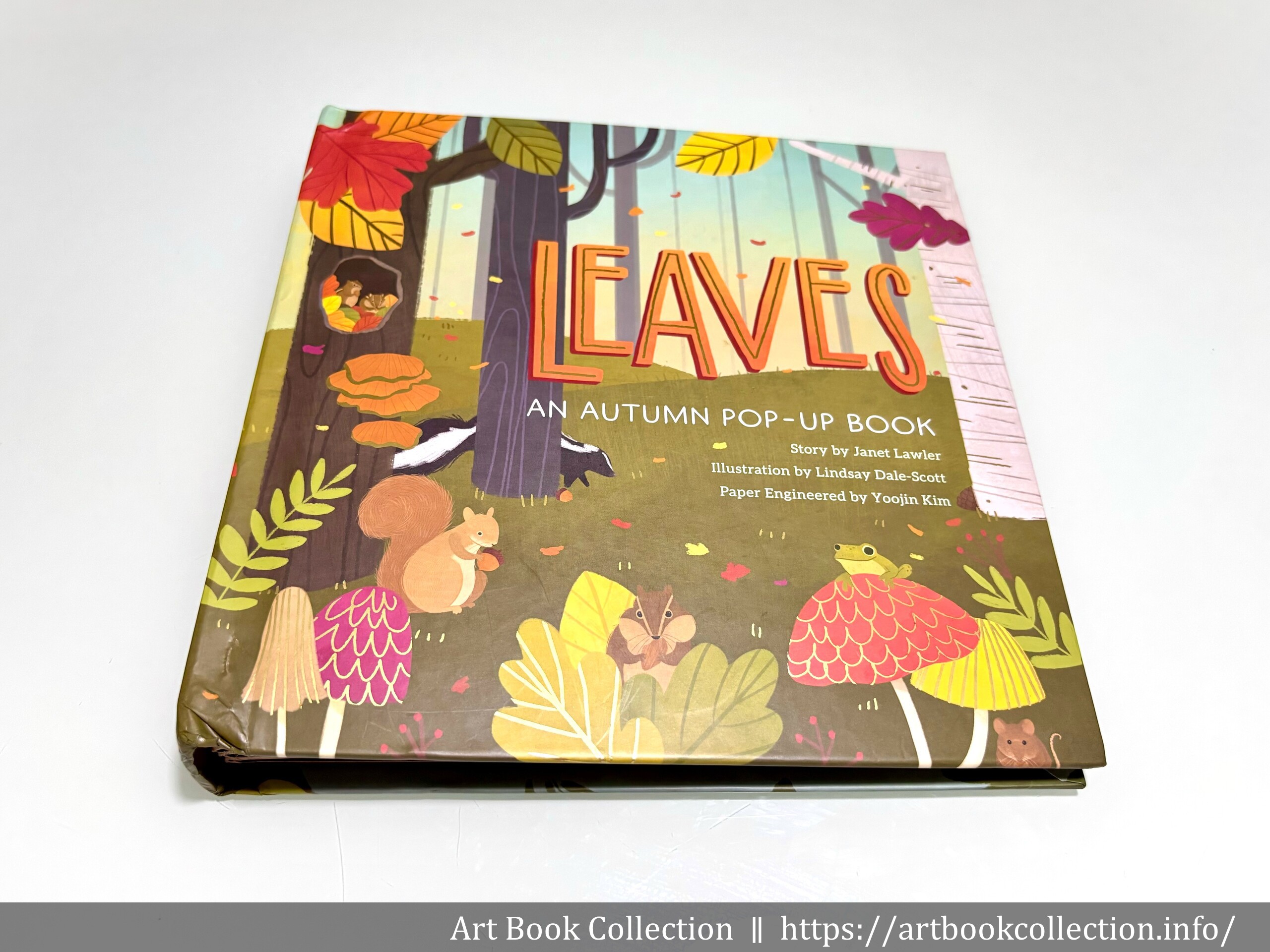 【開箱．立體書】Yoojin Kim、Lindsay Dale-Scott《Leaves: An Autumn Pop-Up Book》