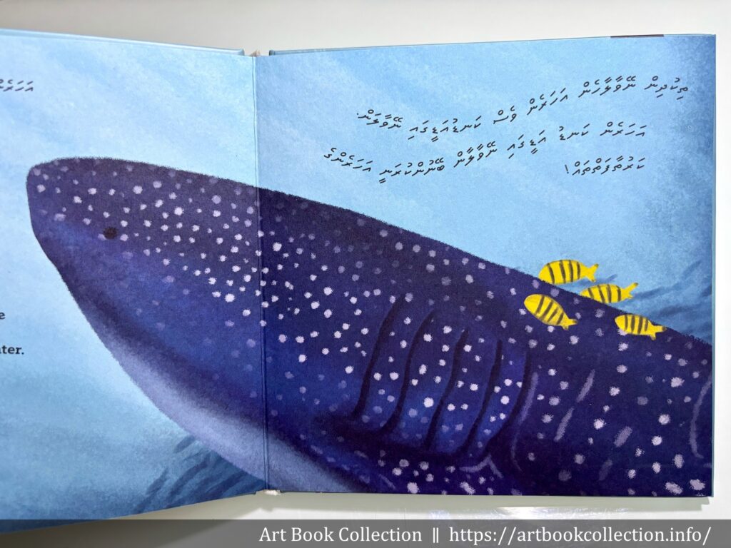 開箱．繪本】Aminath Shareehan Ibrahim《I am a Whale Shark! 》 - Art Book Collection